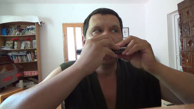Hrist Revine | Hohner Echo Harp 57/120 C/G смотреть онлайн