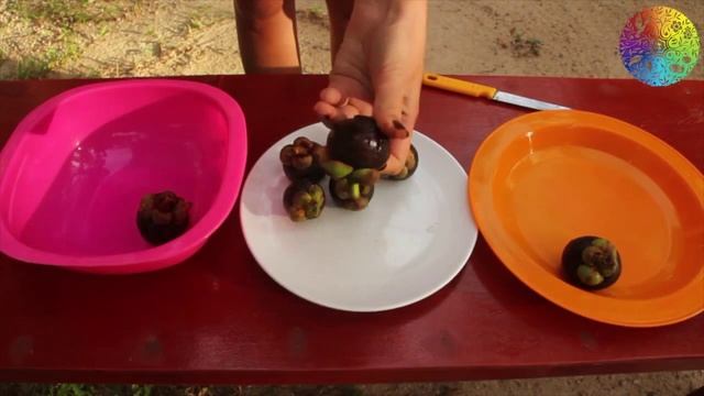 Mangosteen. Татьяна Андреянова Как выбрать Мангустин. (Мангостин) смотреть онлайн