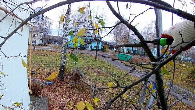 Слива. Как я обрезал старую сливу смотреть онлайн