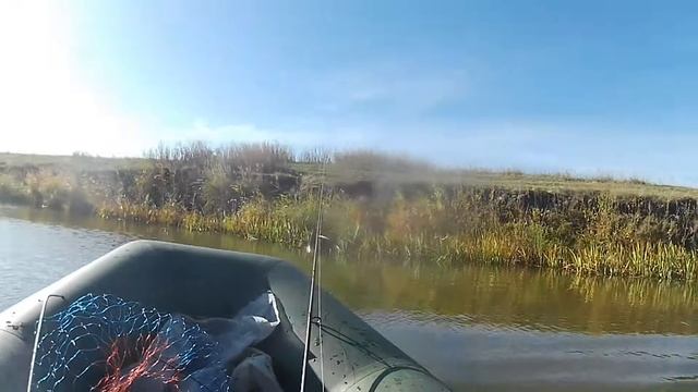 КАК ЖЕ ДОЛГО Я ЕЁ ЖДАЛ И НАКОНЕЦ ТО ПОЙМАЛ!!! Рыбалка на спиннинг осенью 2023! Рыбалка на щуку. смотреть онлайн