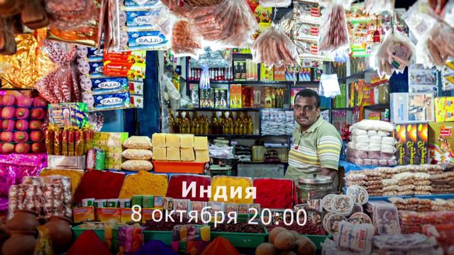 Вебинары для путешественников! смотреть онлайн