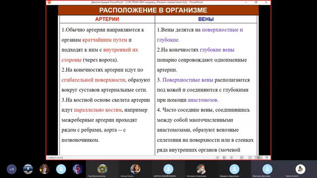 Лекция Венозная система смотреть онлайн