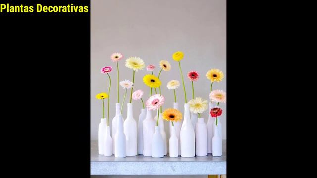 Raramente as pessoas sabem !! 20 tipos completos de flores e seus significados! смотреть онлайн