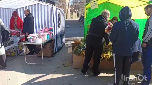 Богатырь-Цветы Кубани. смотреть онлайн