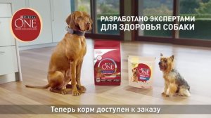 Purina ONE®. С заботой о вашей собаке