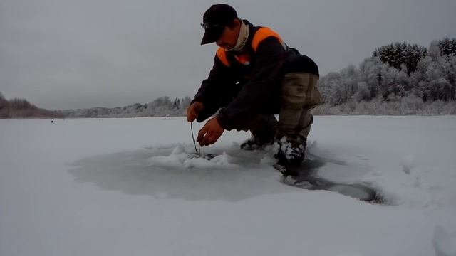 Васильковская старица. Ледяной плен для рыбы. смотреть онлайн