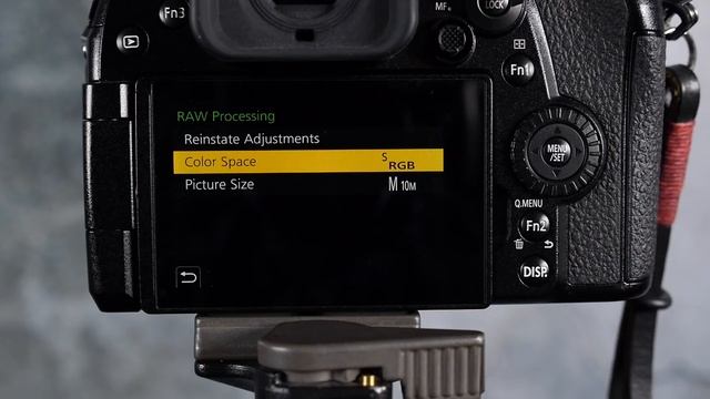 Lumix G9 Raw Files – Edit Raw Files in the Camera смотреть онлайн