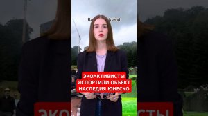 Очередная провокация экоактивистов #папочкаканцлера #германия #новости
