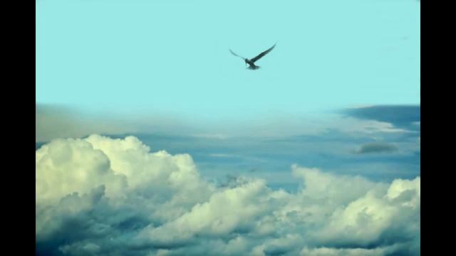 Медитация на качества: счастье, сила, любовь свобода, радость, динамизм, веселье, восторг. смотреть онлайн