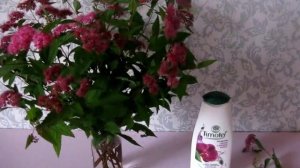 АРХИВНОЕ ВИДЕО как ТАНЯ ЛЕТО снимала видео в МОСКВЕ много лет назад