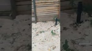 Баня из бруса под усадку, размером 3 на 3 метра. Строительство домов и бань из бруса под усадку.