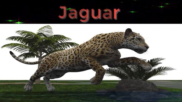 Jaguar Spirit Animal. | Spirit animal meaning. Power Animal. Jaguar signal смотреть онлайн