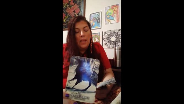 Timeless Oracle Insights: What They Truly Feel & Advice for All Signs смотреть онлайн