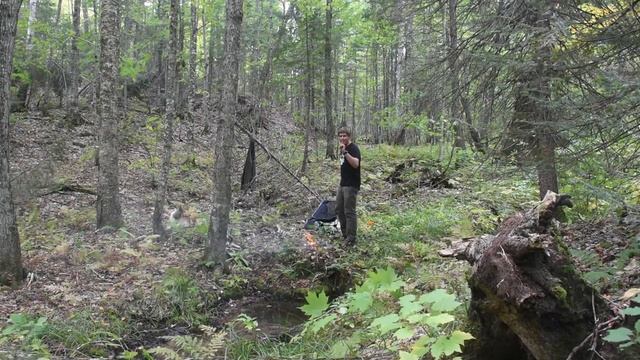 Hike and Cook - Fall Is Here! смотреть онлайн
