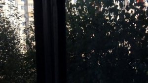 Замена стекла в балконной раме из алюминиевого уголка