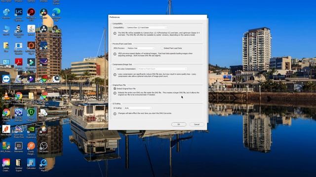 Adobe DNG Converter