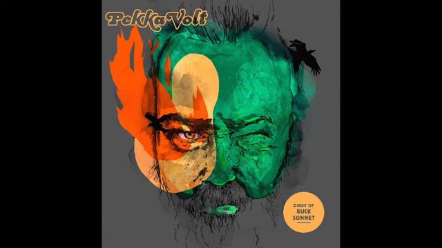 Pekka Volt - Diary of Buck Sonnet - teaser#1 - album out 10.06.2016! смотреть онлайн