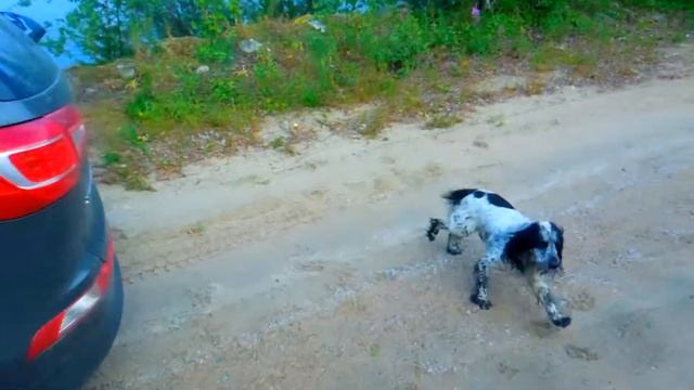 Едем на рыбалку в Зареченск. смотреть онлайн