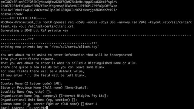 Intro to Mutual TLS смотреть онлайн