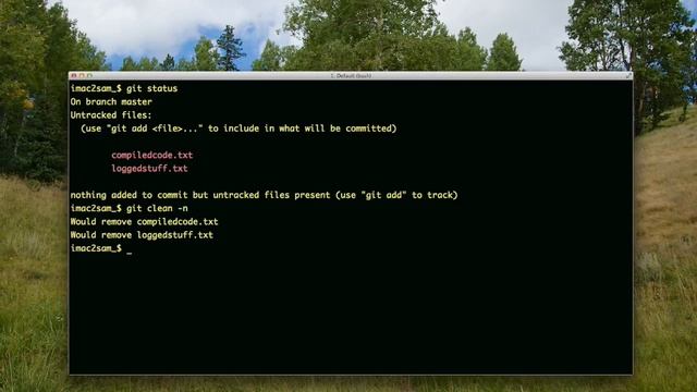 Clean Up the Project Source Code by Removing Untracked Files смотреть онлайн