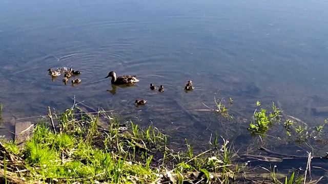 Как забыть прошлое и жить настоящим смотреть онлайн