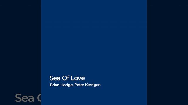 Sea of Love смотреть онлайн