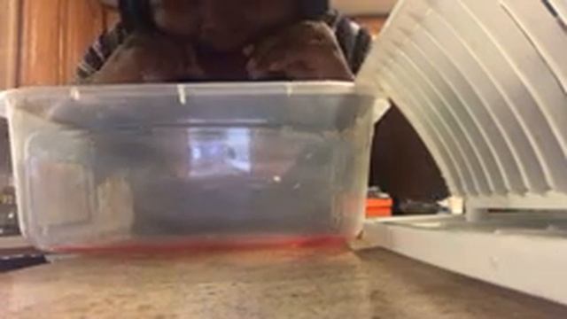 Jelly fruit tutorial and hit or miss смотреть онлайн