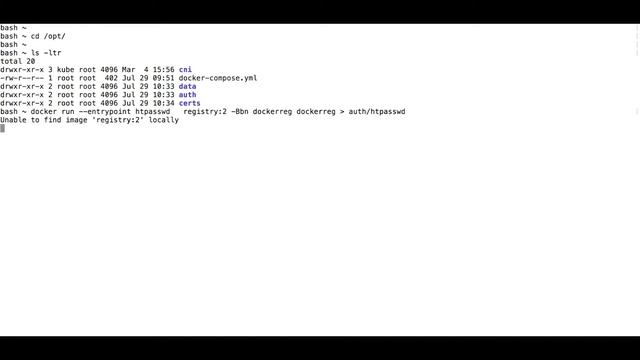 docker private registry with tls and basicauth смотреть онлайн