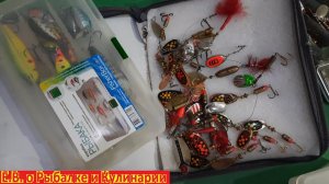 НА ЧТО ХОРОШО ЛОВИТСЯ ЩУКА И ОКУНЬ НА ОЗЕРЕ КАНДРЫКУЛЬ В БАШКОРТОСТАНЕ ЧТО БРАТЬ БЛЕСНЫ ИЛИ ВОБЛЕРЫ