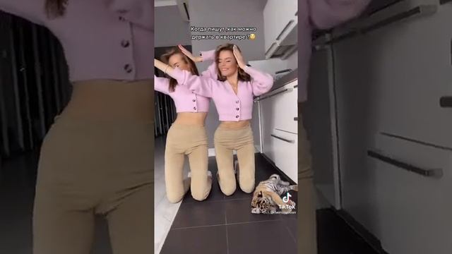 Когда пишут, как можно держать в квартире?? смотреть онлайн