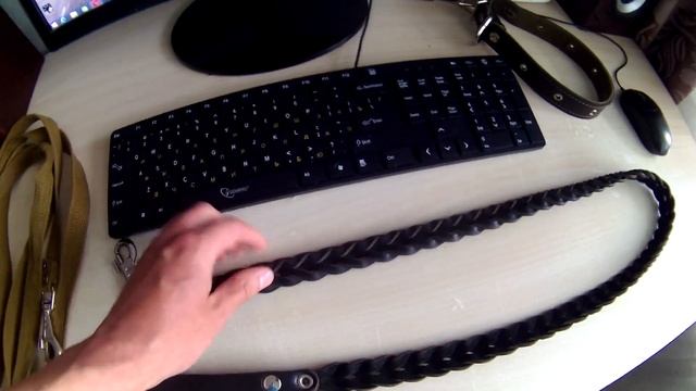 Какой поводок и ошейник купить стаффорду смотреть онлайн