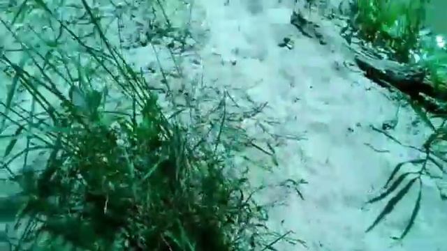 Я в лесу!Фотосессия с мамой чалынч!:-) смотреть онлайн