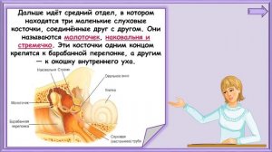 Почему звенит звонок 1