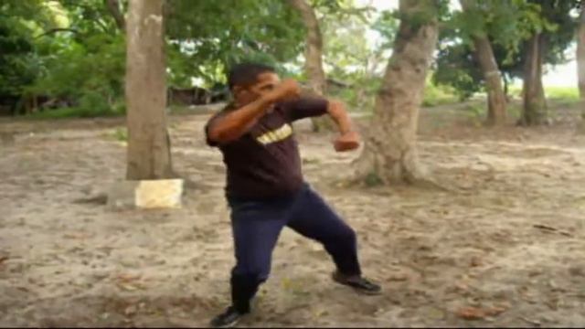 Mestre Zezinho Do Tai Chi Chuan смотреть онлайн