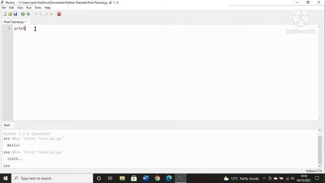 Basic Print and Input Tutorial on Python | Python Guides смотреть онлайн