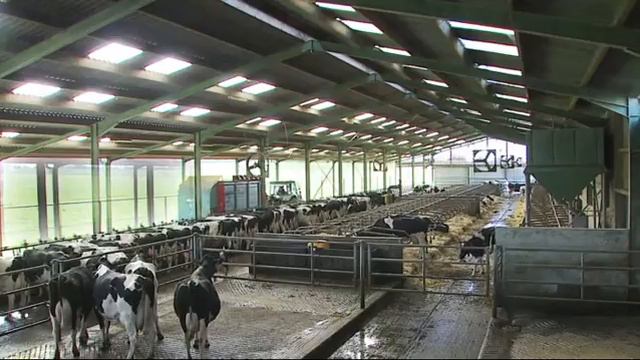 Activité DUO DeLaval - Témoignage du GAEC de l’Erdre смотреть онлайн