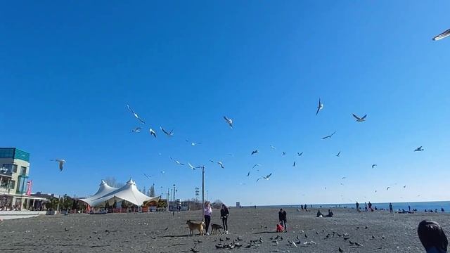 Горячий шоколад?Самокаты?Сашка актёр?Море, чайки, собаки❤ смотреть онлайн