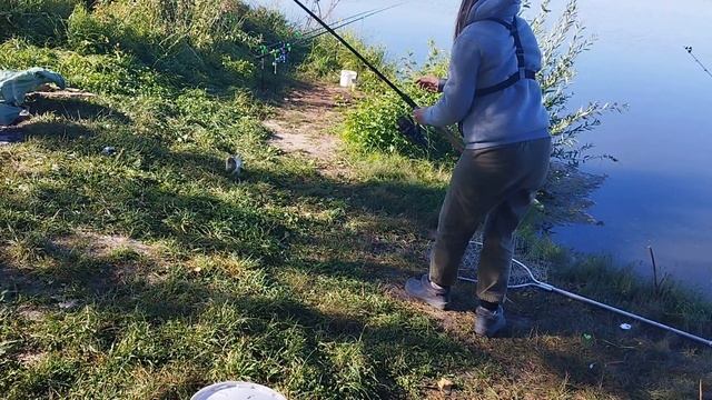 Самое дикое место на реке. Природа и рыбалка. смотреть онлайн