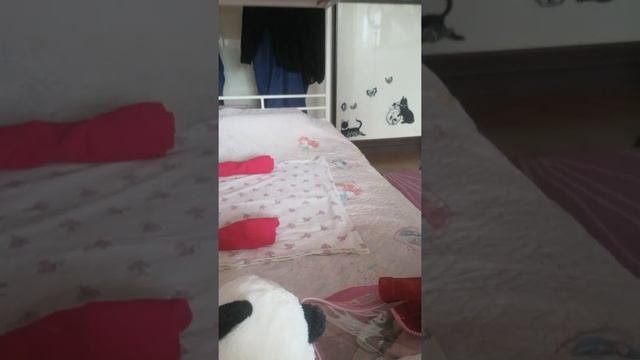 утро с реборном ฅ?ฅ смотреть онлайн
