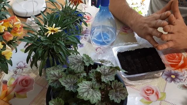 Фотография Пейзажей