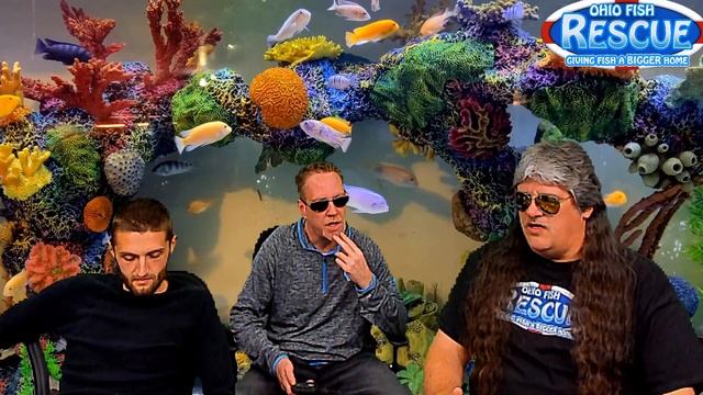Stay Fishy Friday Livestream 04/16/21 смотреть онлайн