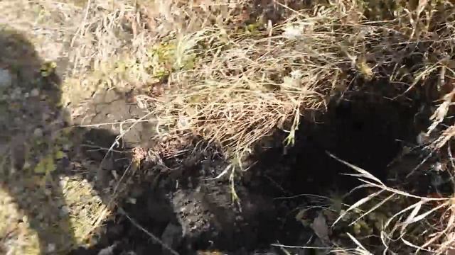 Коп на месте бывшей шахты. смотреть онлайн