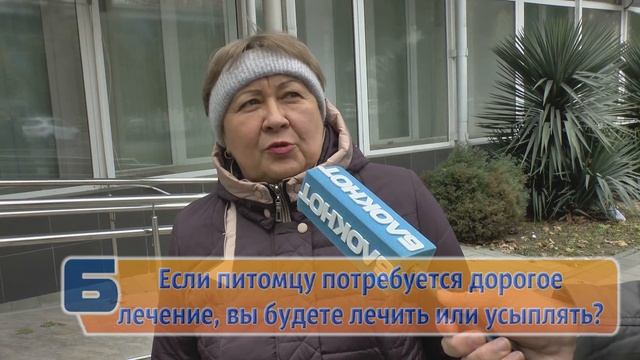 Усыпить или лечить - анапчан мнение смотреть онлайн