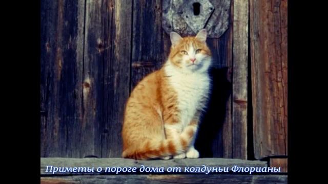 Приметы о пороге дома смотреть онлайн