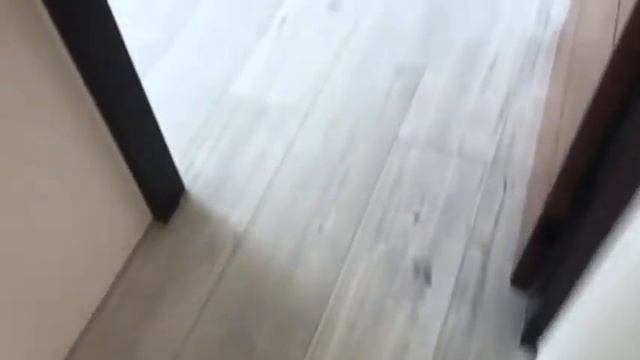 Kronotex Exquisit Plus D4164/D4787超耐磨地板 木質地板 完工實際拍攝