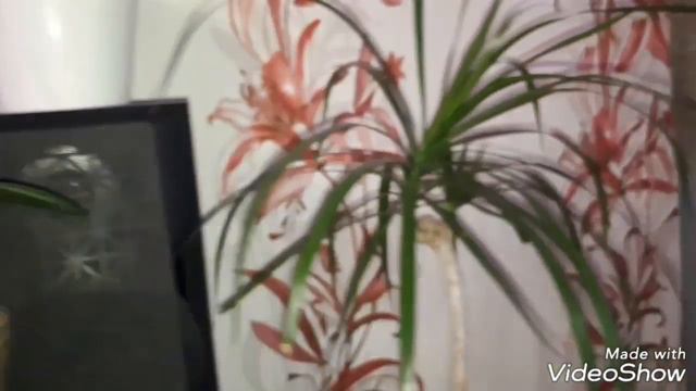 Мое утро с ОРХИДЕЯМИ , немного из моей жизни ) смотреть онлайн