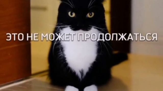 ЭТО НЕ МОЖЕТ ПРОДОЛЖАТЬСЯ