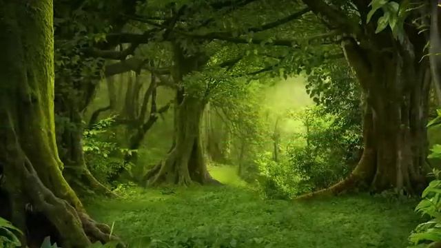 Дуа вечером - дуа исцеления души - слушать дуа перед сном успакоение и исцеления души смотреть онлайн