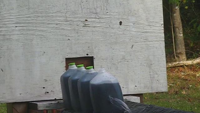 Brown Bear 7.62x54R JSP - Jug Test смотреть онлайн