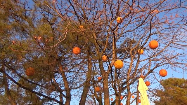 Test with Sony HDR-CX625 смотреть онлайн